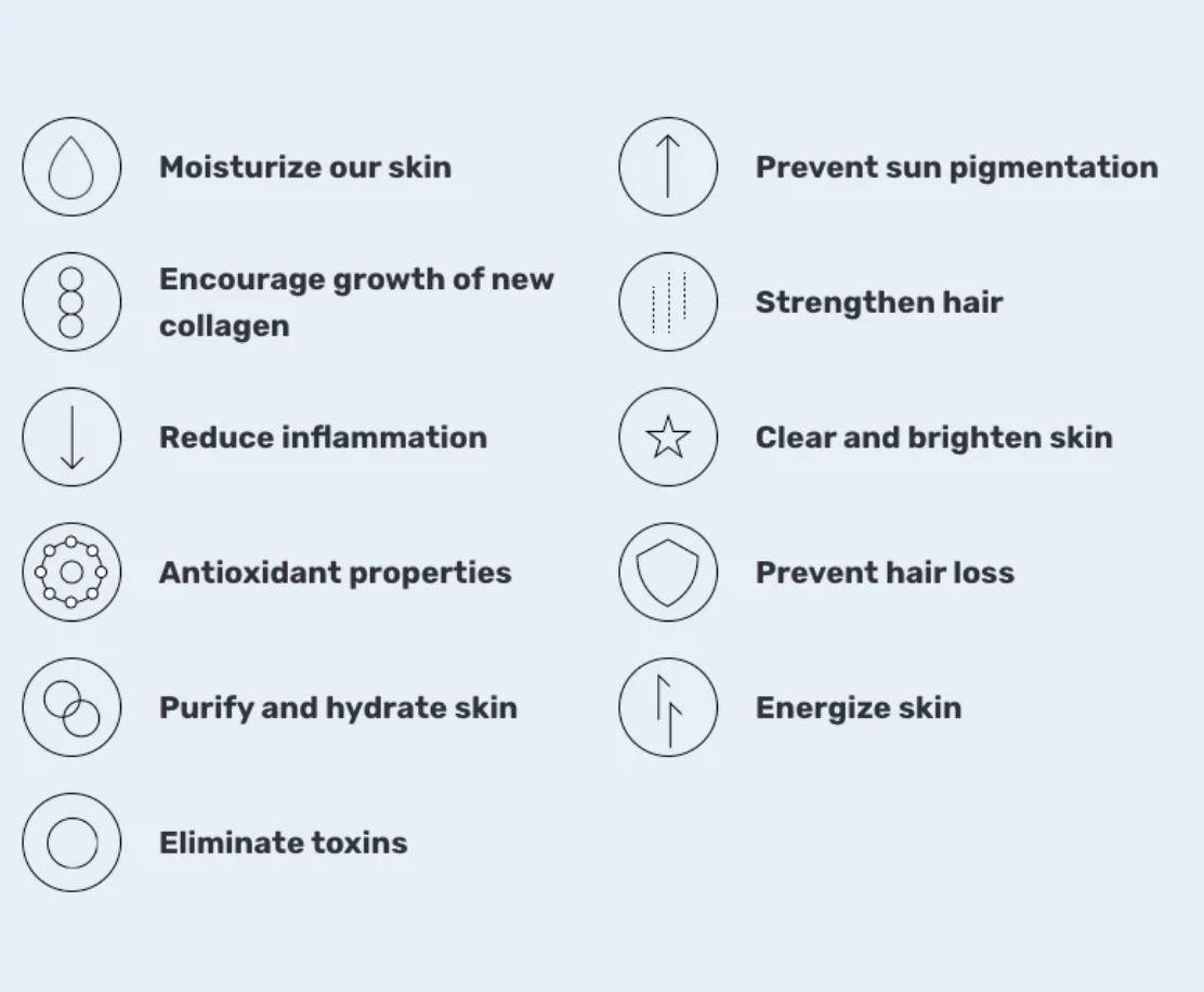 Round Lab - Birch Juice Moisturizing Sun Cream SPF50+ PA++++ - Moisturizing SPF Cream - 50 ml, Korean Skincare