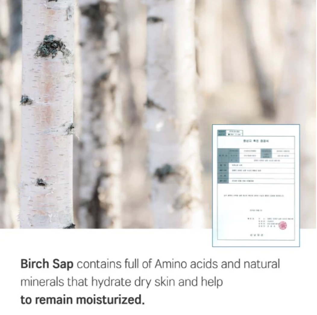 Round Lab - Birch Juice Moisturizing Sun Cream SPF50+ PA++++ - Moisturizing SPF Cream - 50 ml, Korean Skincare